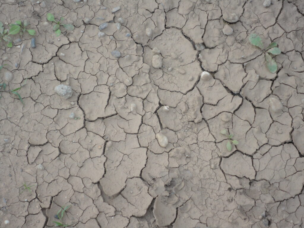 Foto ausgetrockneter Boden