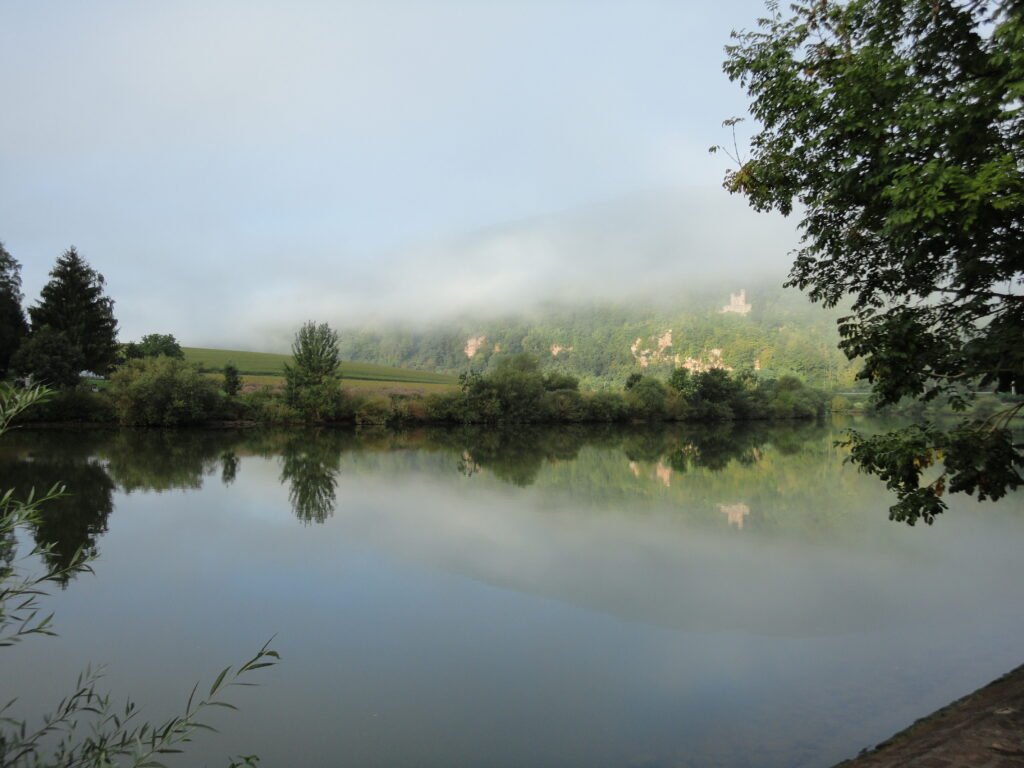 Foto Fluss mit Nebel