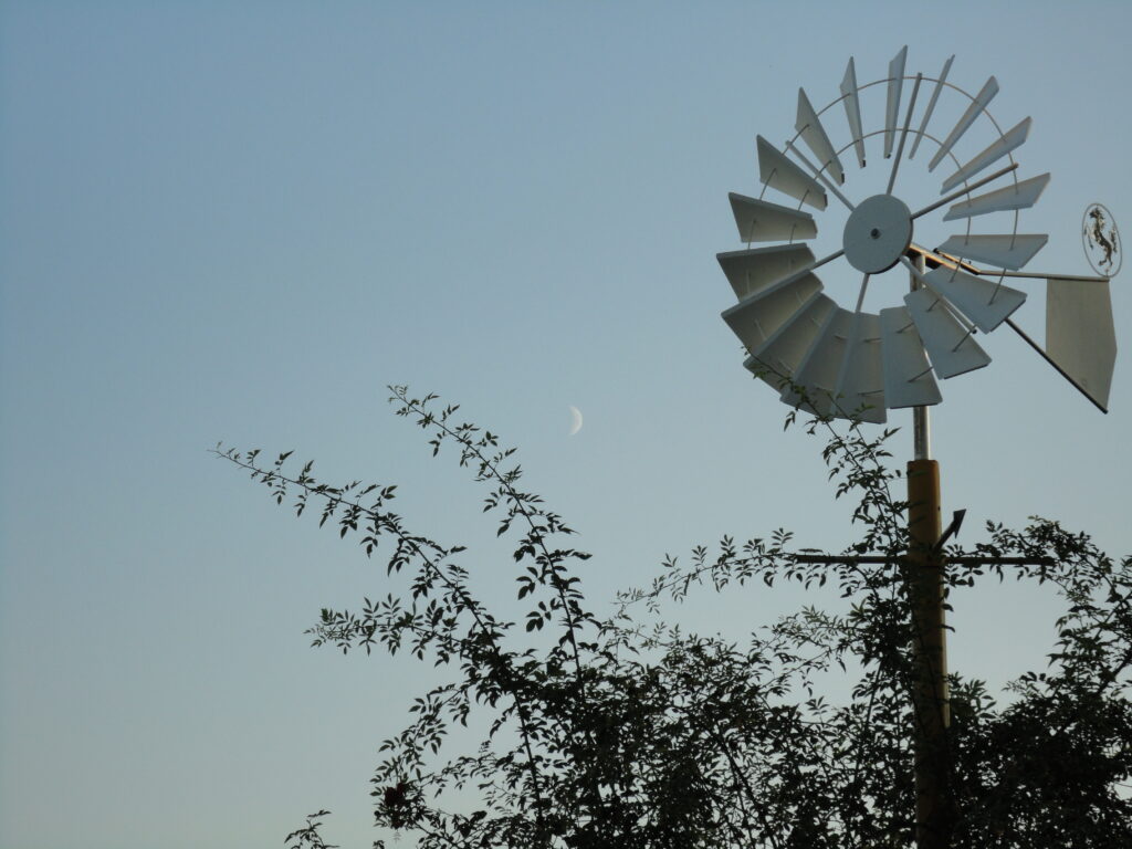 Foto Windrad
