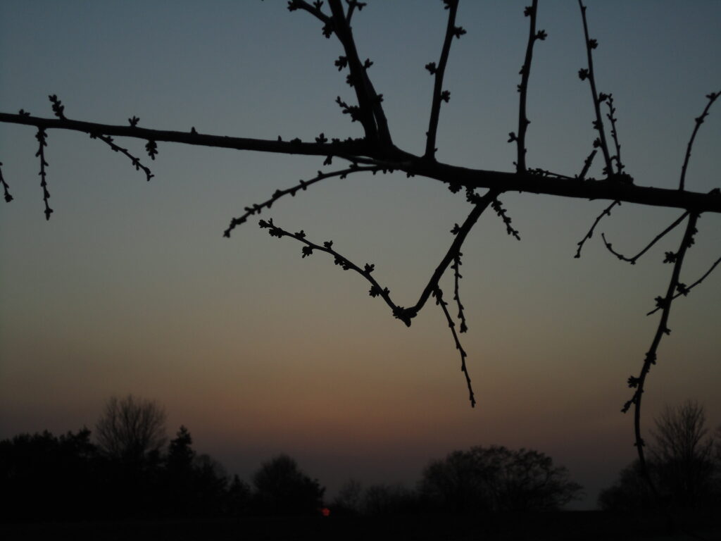 Foto Sonnenuntergang