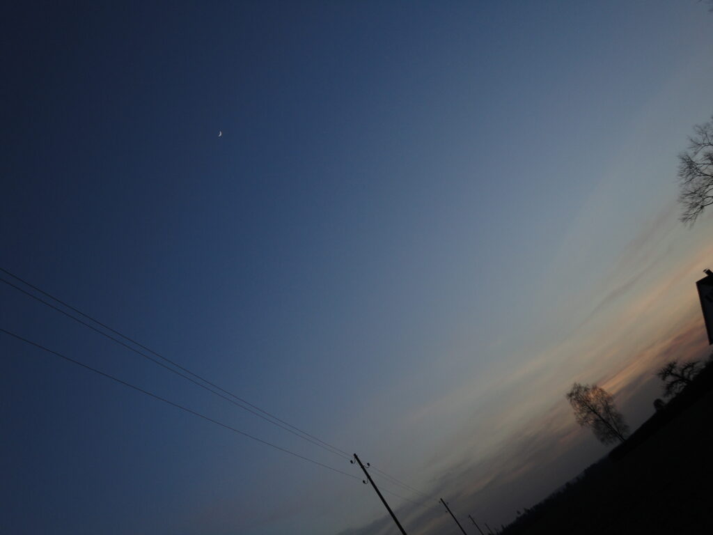 Foto Landschaft schräg mit Mond und Bäumen und einer Stromleitung die in die Weite führt